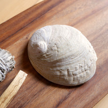 Load image into Gallery viewer, Energy Clearing Kit with abalone shell