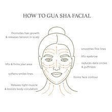 Load image into Gallery viewer, Facial Roller (All Skin Types)