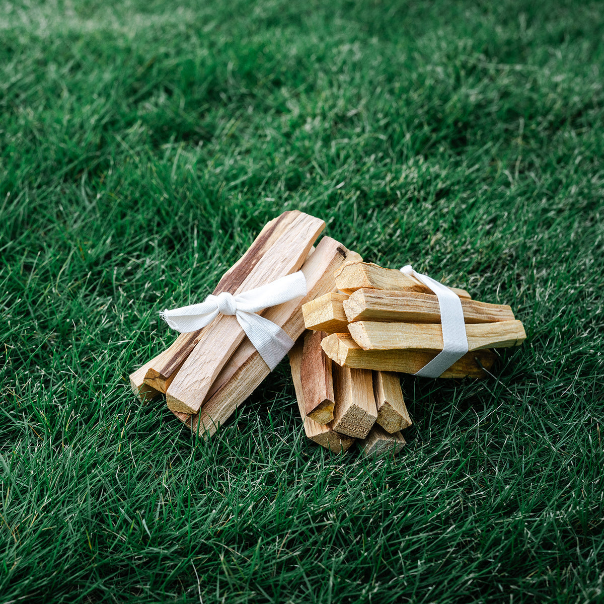 Palo Santo Stick