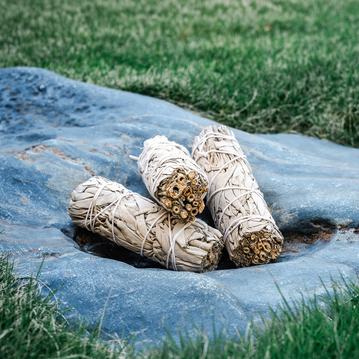 White Sage Stick
