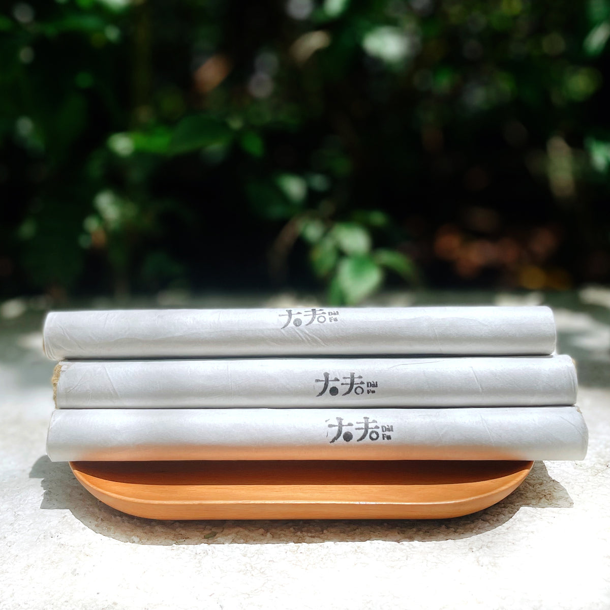 艾條 Moxa Stick