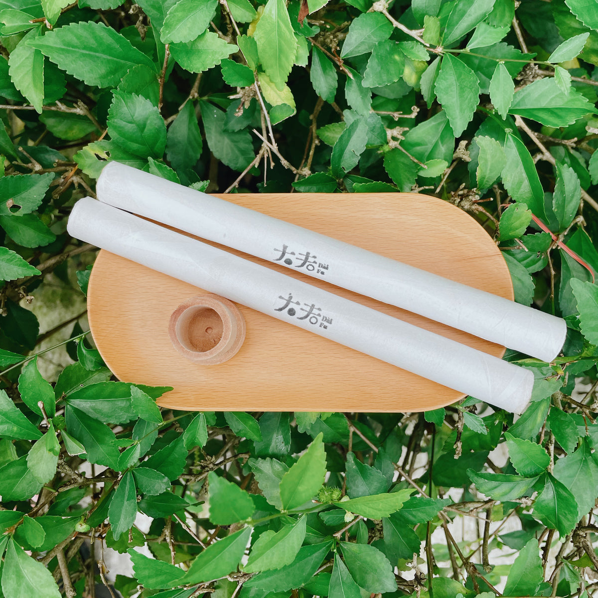 艾條 Moxa Stick – 圖片 3